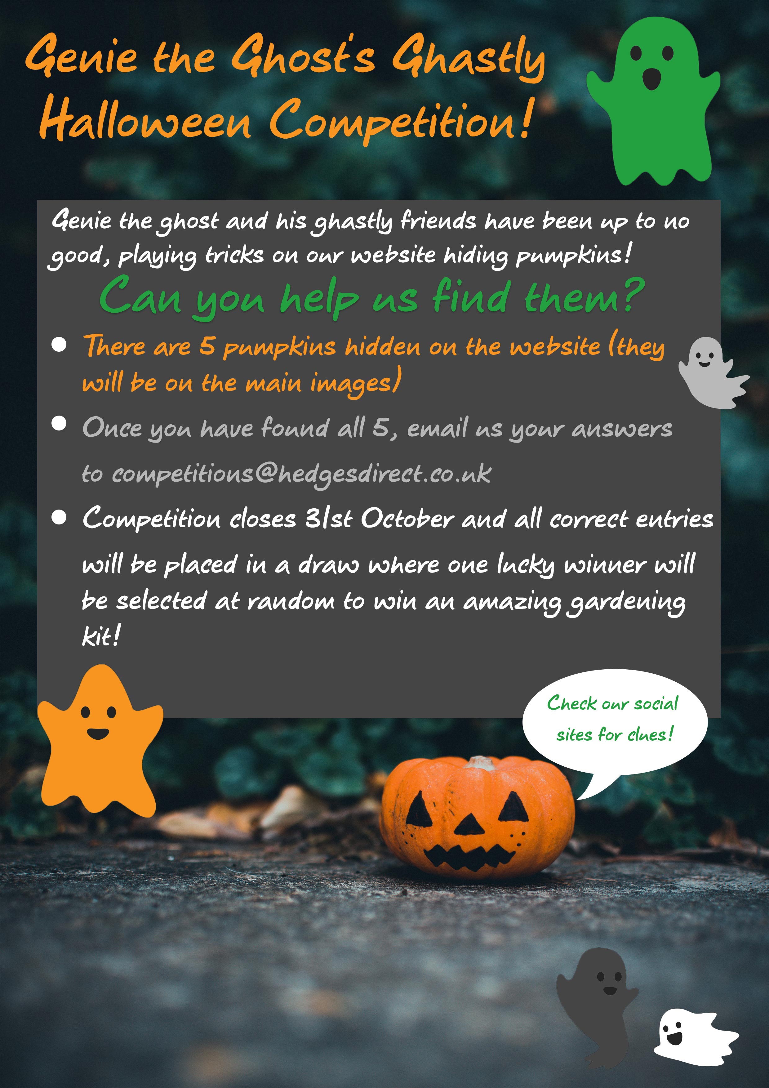 Genie's Ghastly Halloween Competition | Hedges Direct Blog
